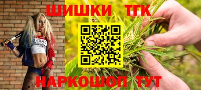 тгк Можга