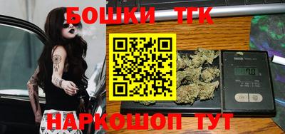 тгк Можга