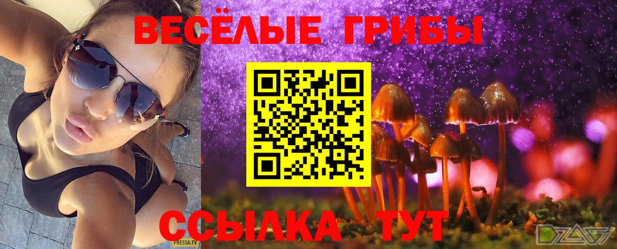 как найти закладки  Галлюциногенные грибы мицелий  Вход с VPN  Чехов 